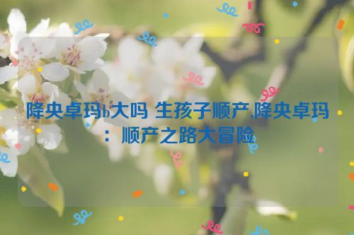 降央卓玛b大吗 生孩子顺产,降央卓玛：顺产之路大冒险