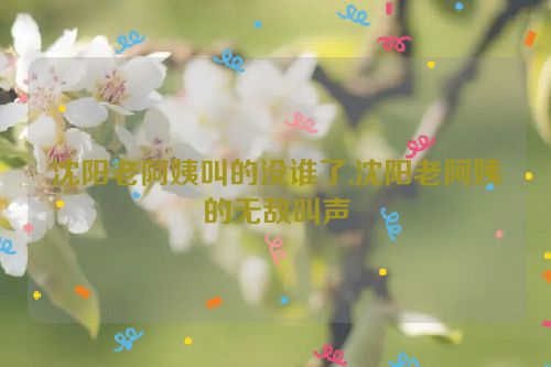 沈阳老阿姨叫的没谁了,沈阳老阿姨的无敌叫声