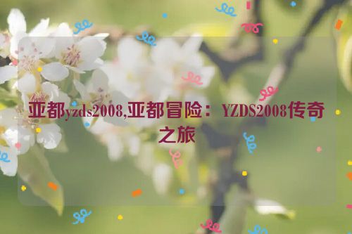 亚都yzds2008,亚都冒险：YZDS2008传奇之旅