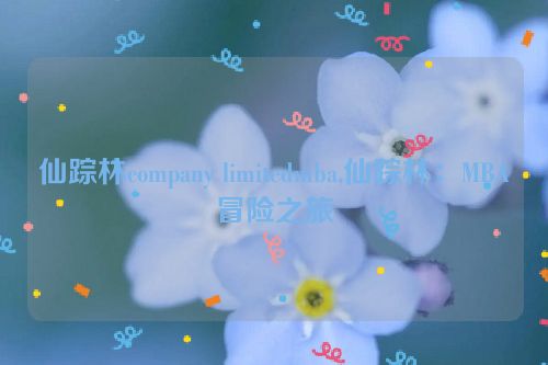 仙踪林company limitedmba,仙踪林：MBA冒险之旅