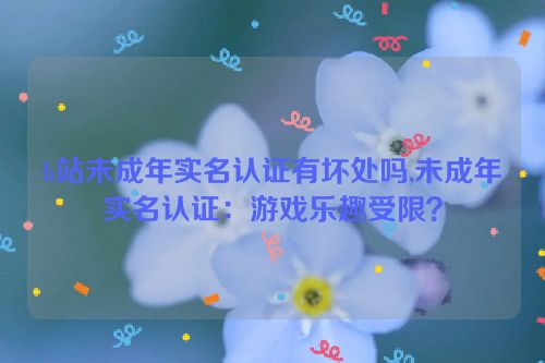 b站未成年实名认证有坏处吗,未成年实名认证：游戏乐趣受限？