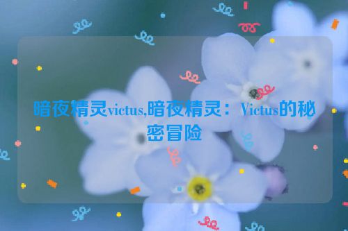 暗夜精灵victus,暗夜精灵：Victus的秘密冒险