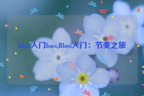 bbox入门bass,Bbox入门：节奏之旅