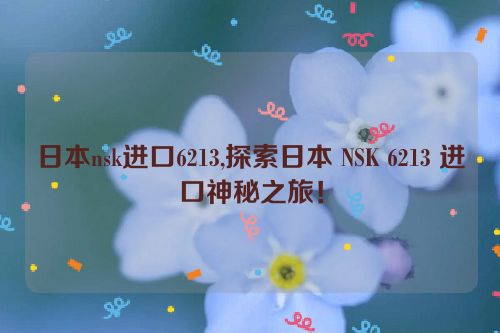 日本nsk进口6213,探索日本 NSK 6213 进口神秘之旅！