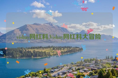 vishay网红料,Vishay网红料大冒险