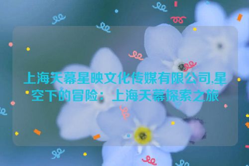 上海天幕星映文化传媒有限公司,星空下的冒险：上海天幕探索之旅