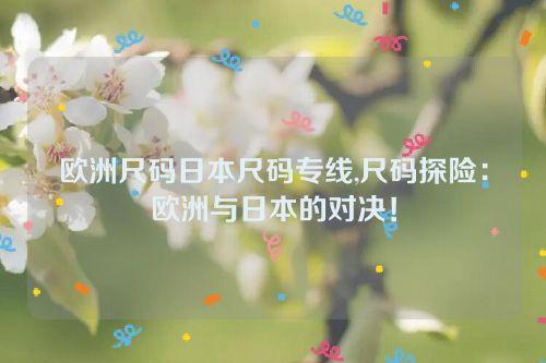 欧洲尺码日本尺码专线,尺码探险：欧洲与日本的对决！