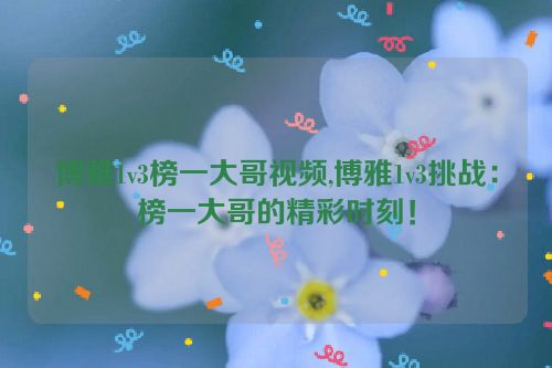 博雅1v3榜一大哥视频,博雅1v3挑战：榜一大哥的精彩时刻！