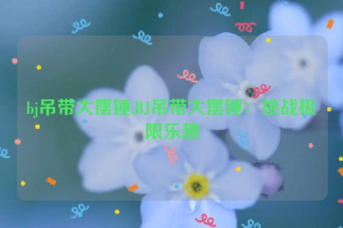 bj吊带大摆锤,BJ吊带大摆锤：挑战极限乐趣