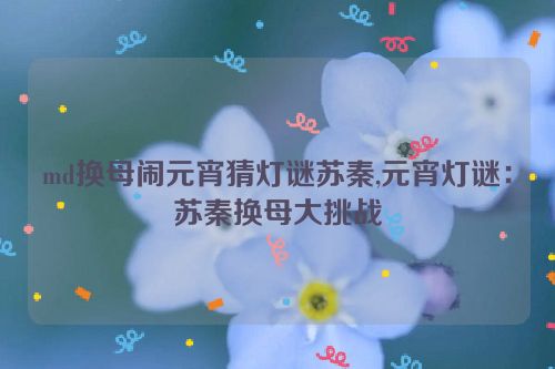 md换母闹元宵猜灯谜苏秦,元宵灯谜：苏秦换母大挑战