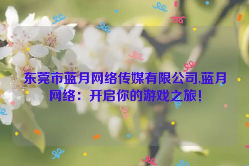 东莞市蓝月网络传媒有限公司,蓝月网络：开启你的游戏之旅！