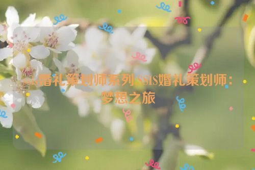 ssis婚礼策划师系列,SSIS婚礼策划师：梦想之旅