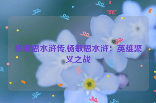 杨敏思水浒传,杨敏思水浒：英雄聚义之战