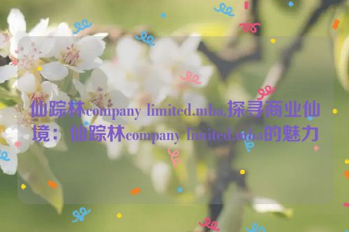 仙踪林company limited.mba,探寻商业仙境：仙踪林company limited.mba的魅力