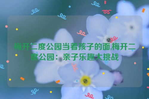 梅开二度公园当着孩子的面,梅开二度公园：亲子乐趣大挑战