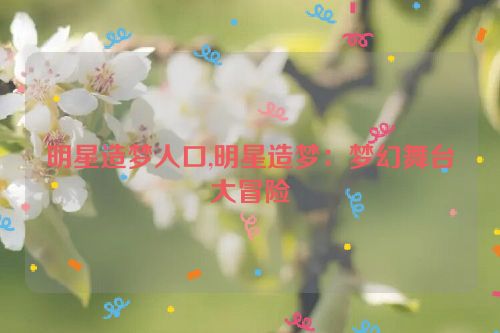 明星造梦人口,明星造梦：梦幻舞台大冒险