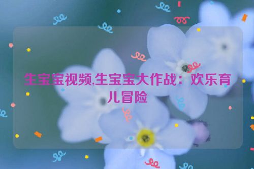 生宝宝视频,生宝宝大作战：欢乐育儿冒险