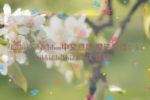 bibbidibobbidiboo中文意思,魔法咒语：bibbidibobbidiboo大冒险