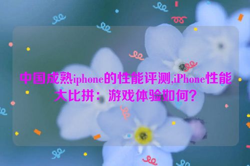 中国成熟iphone的性能评测,iPhone性能大比拼：游戏体验如何？