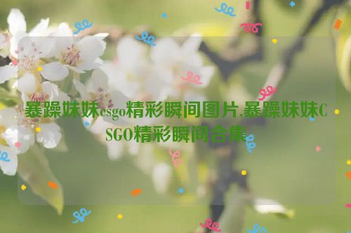 暴躁妹妹csgo精彩瞬间图片,暴躁妹妹CSGO精彩瞬间合集