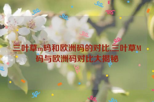 三叶草m码和欧洲码的对比,三叶草M码与欧洲码对比大揭秘