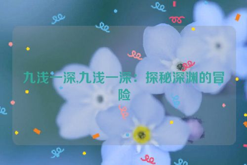 九浅一深,九浅一深：探秘深渊的冒险