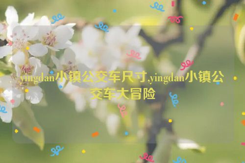 yingdan小镇公交车尺寸,yingdan小镇公交车大冒险