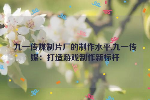 九一传媒制片厂的制作水平,九一传媒：打造游戏制作新标杆