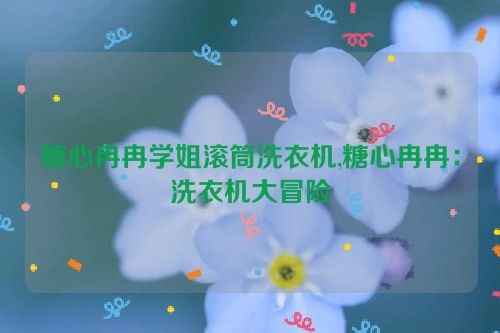 糖心冉冉学姐滚筒洗衣机,糖心冉冉：洗衣机大冒险