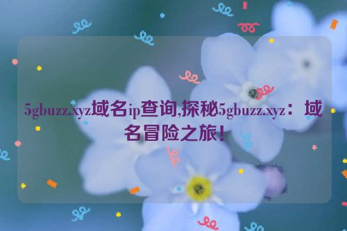 5gbuzz.xyz域名ip查询,探秘5gbuzz.xyz：域名冒险之旅！