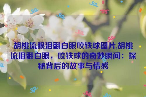 胡桃流眼泪翻白眼咬铁球图片,胡桃流泪翻白眼，咬铁球的奇妙瞬间：探秘背后的故事与情感