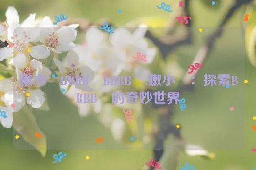 嫩小槡BBBB槡BBBB槡,嫩小槡：探索BBBB槡的奇妙世界