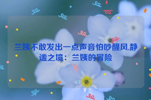 兰姨不敢发出一点声音怕吵醒风,静谧之境：兰姨的冒险