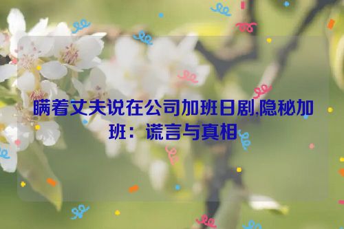 瞒着丈夫说在公司加班日剧,隐秘加班：谎言与真相