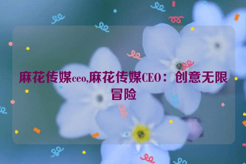 麻花传媒ceo,麻花传媒CEO：创意无限冒险