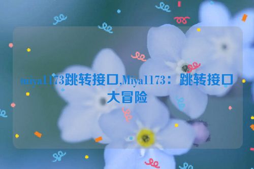 miya1173跳转接口,Miya1173：跳转接口大冒险