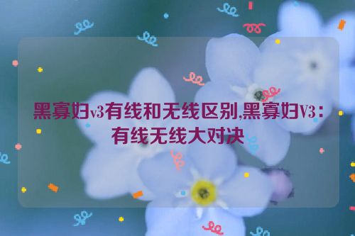 黑寡妇v3有线和无线区别,黑寡妇V3：有线无线大对决