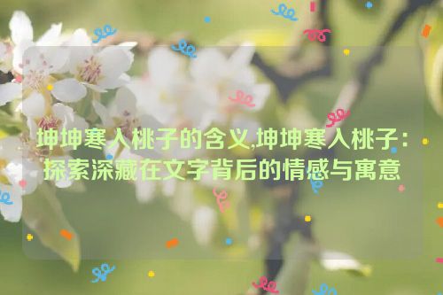 坤坤寒入桃子的含义,坤坤寒入桃子：探索深藏在文字背后的情感与寓意