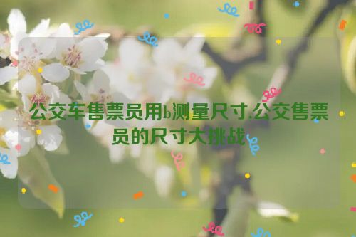 公交车售票员用b测量尺寸,公交售票员的尺寸大挑战