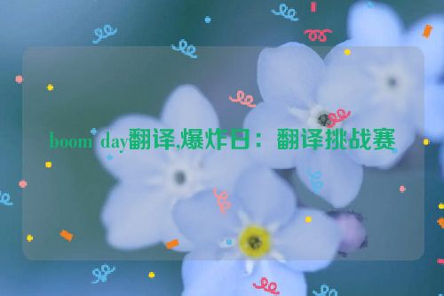 boom day翻译,爆炸日：翻译挑战赛