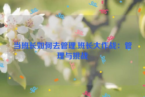 当班长如何去管理,班长大作战：管理与挑战