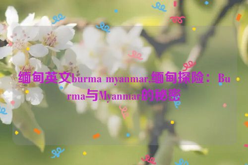 缅甸英文burma myanmar,缅甸探险：Burma与Myanmar的秘密