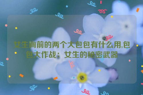 女生胸前的两个大包包有什么用,包包大作战：女生的秘密武器