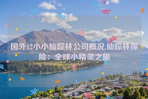 国外12小小仙踪林公司概况,仙踪林探险：全球小精灵之旅