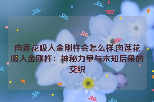 肉莲花吸入金刚杵会怎么样,肉莲花吸入金刚杵：神秘力量与未知后果的交织