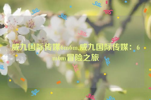 威九国际传媒6m6m,威九国际传媒：6m6m冒险之旅