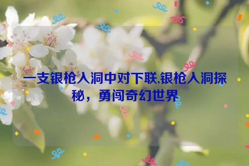 一支银枪入洞中对下联,银枪入洞探秘，勇闯奇幻世界