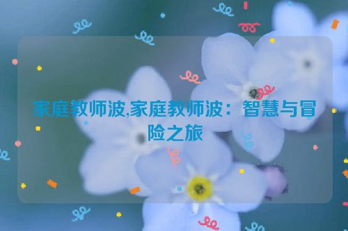 家庭教师波,家庭教师波：智慧与冒险之旅