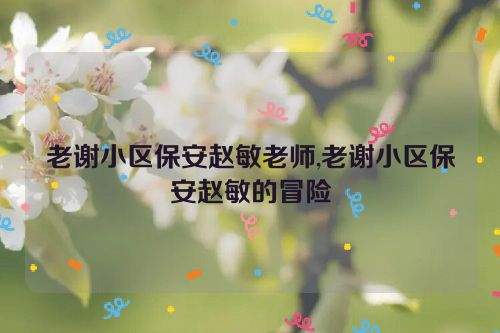 老谢小区保安赵敏老师,老谢小区保安赵敏的冒险