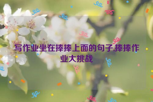 写作业坐在捧捧上面的句子,捧捧作业大挑战